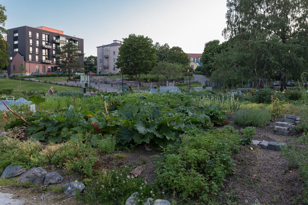 Hermannin viljelijöiden puutarhaviljelmät Hermanninpuistossa